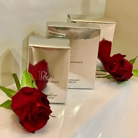 Slupski Premium Nr5 Wifi Netflix Smart Tv50 Full Kitchen Double Bathtub Up To 4 People Full Pleasure Quality (adults Only) Apartament