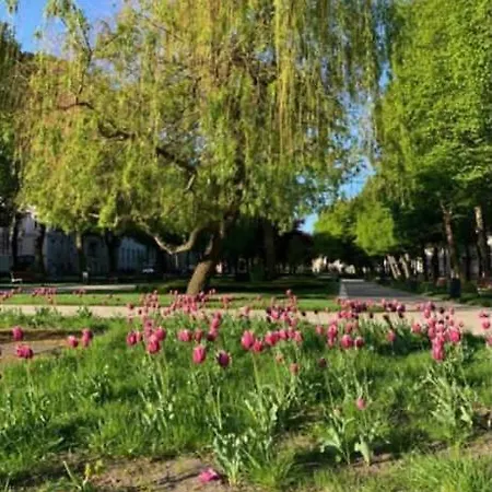 Slupski Premium Nr5 Wifi Netflix Smart Tv50 Full Kitchen Double Bathtub Up To 4 People Full Pleasure Quality (adults Only) Słupsk