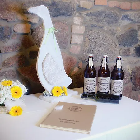 Slupski Premium Nr5 Wifi Netflix Smart Tv50 Full Kitchen Double Bathtub Up To 4 People Full Pleasure Quality (adults Only) Apartament Słupsk