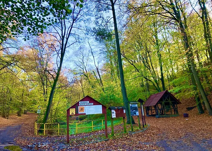 Slupski Premium Nr5 Wifi Netflix Smart Tv50 Full Kitchen Double Bathtub Up To 4 People Full Pleasure Quality (adults Only) Апартаменты