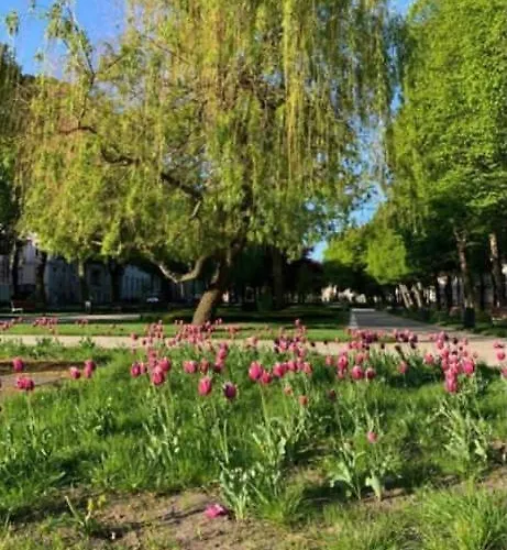 Slupski Premium Nr5 Wifi Netflix Smart Tv50 Full Kitchen Double Bathtub Up To 4 People Full Pleasure Quality (adults Only) Слупск